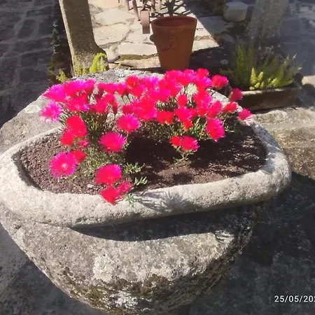 O Do Xanza, Ideal Parejas Adaptado Movilidad Reducida * Meis