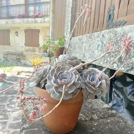 O Do Xanza, Ideal Parejas Adaptado Movilidad Reducida Apartamento Meis