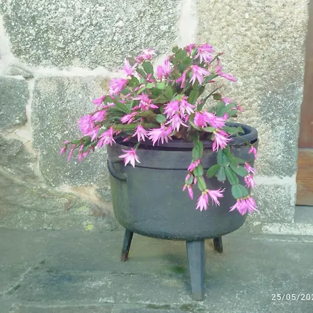 O Do Xanza, Ideal Parejas Adaptado Movilidad Reducida *