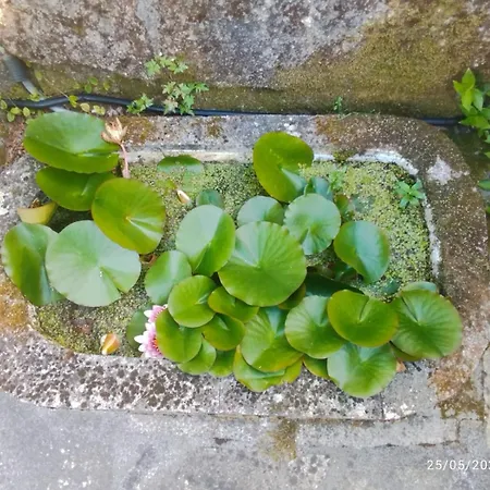 O Do Xanza, Ideal Parejas Adaptado Movilidad Reducida Meis